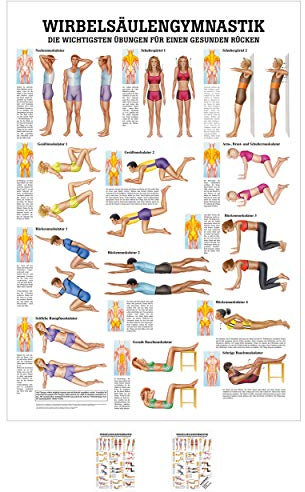 Sport-Tec Wirbelsäulengymnastik Mini-Poster Anatomie 34x24 cm medizinische Lehrmittel