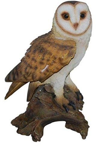 Vivid Arts Real Life Barn Owl