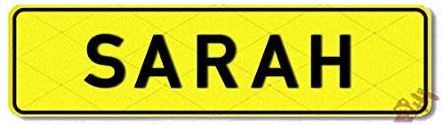Geprägtes Namensschild zum Selbstgestalten ✓ Witterungsbeständig ✓ Vielfarbig ✓ Ideale Geschenkidee | Individuelles Nummernschild, Aluminium-Schild | Autoschild mit Namen & Spruch selbst gestalten