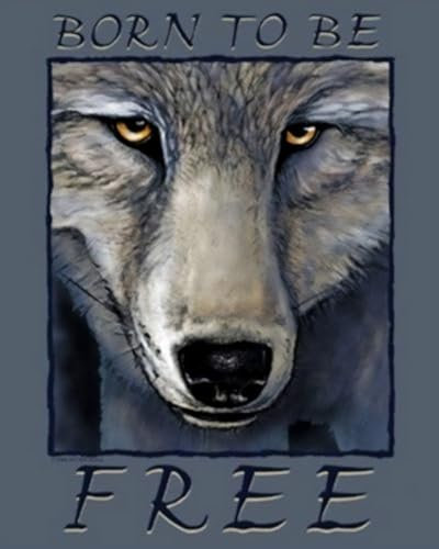 Buyartforless Wolf Eyes by Peter Kull 16x20 Art Print Poster Born to Be Free Wild Animal Native American Print Animal Posters
