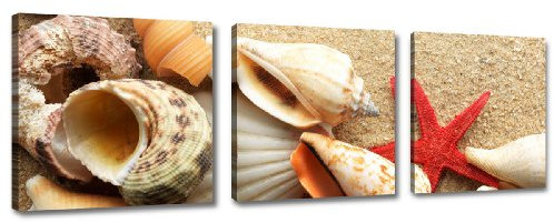 Visario Bild auf Leinwand der Deutschen Marke 150 x 50 cm DREI Teile Muscheln 4217 Bilder Kunstdrucke Wandbild