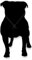 WANDKINGS Wanduhr Polly Pug aus Acrylglas, in 11 Farben erhältlich (Farbe: Uhr = Schwarz matt; Zeiger = Schwarz)