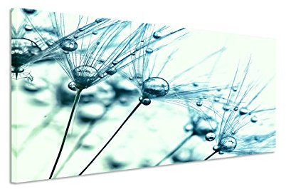 150x50cm Leinwandbild auf Keilrahmen Pusteblumen Wassertropfen Nahaufnahme Wandbild auf Leinwand als Panorama