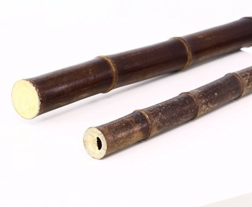 bambus-discount.com 1 Stück Bambusrohr Nigra braun-schwarz 240cm lang mit 4-4,5cm Durchmesser - 2,4m Bambusstange dunkel