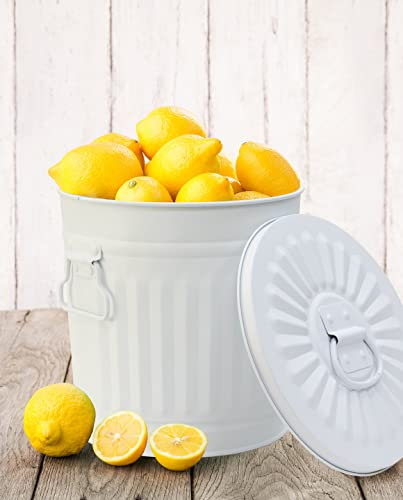 Jinfa Retrodesign Mülleimer mit Deckel | Weiß | Ø 42 cm, Höhe 47,5 cm, 62 Liter