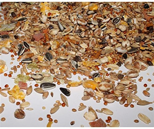 Simply Natural Premiumfutter für Mäuse, 3 kg, Trocken, Unaromatisiert, Nagerfutter in Tüte