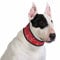 AquaCoolkeeper Cooling Collar L, Red