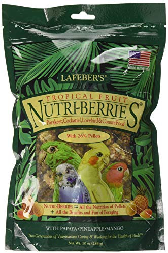 Lafeber Parrot Tropical Nutriberries - Snack tropicale per pappagalli (300g) (Multicolore)
