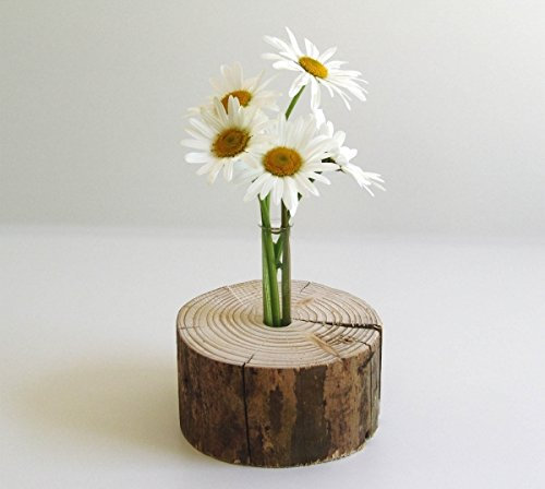 Eli Einzigartige, dekorative Holzvase - Natur-Pur - rund