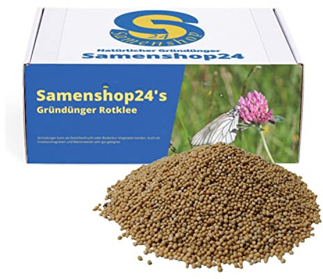 Samenshop24® Rotklee (Gründünger), Inhalt 1kg für 280m², Stickstoffsammler, wertvolle Futterpflanze für Bienen, Hummeln, Schmetterlinge, Nützlinge