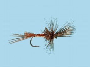 Imax Challenge Chest Neo Wader Cleated/Studs 40/41 - 6/7 Neopren Wathose Gummisohle