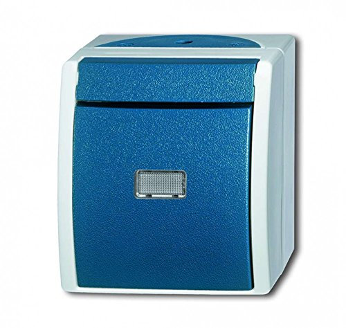 Busch-Jaeger 2621 WGL-53 Wipptaster Schließer (Thermoplast) Grau Ocean® (IP 44) 2CKA001484A0371