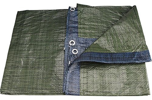 Extol Craft 11124 Lona de PE, cubierta impermeable estándar, 5 x 6 m
