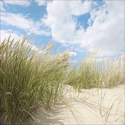 Pro-Art gla759b Wandbild Glas-Art Sommertag I, 50 x 50 cm