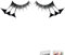Baci BE604 Cils des Plumes Noir
