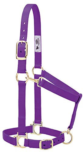 Weaver Leather Pferdehalfter aus Nylon, gepolstert und verstellbar, Kinn- und Rachen-Karabinerhaken Halfter für Pferde, vermessingte Halfter für Training