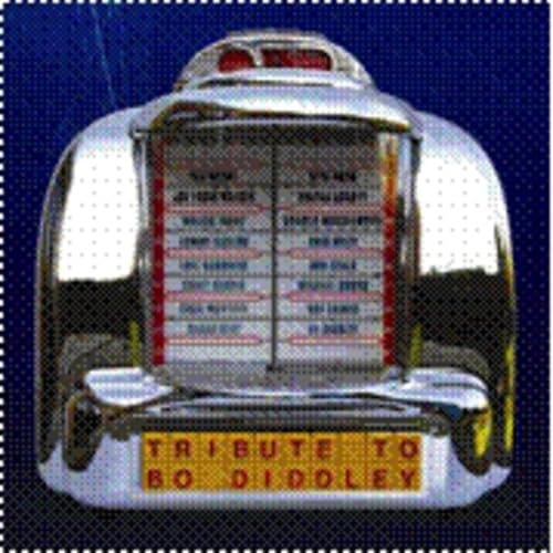 Tribute to Bo Diddley