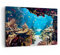 Wandbilder Dekoration Wohnzimmer Ozean Riff Fische Koralle Bilder auf Leinwand 120x80cm Leinwandbild Schlafzimmer Küche Deko Wand Kunstdruck Art Groß XXL Wanddeko Bild Wall Decor Canvas AA120x80-2872