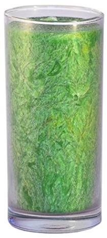 Palm Light 4041678003562 Unique, Höhe Circa 14 cm, Kerze, apfelgrün