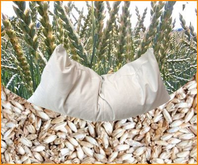 Bio Dinkelkissen 40 x 40 cm mit Inlett aus 100% Bio-Baumwolle