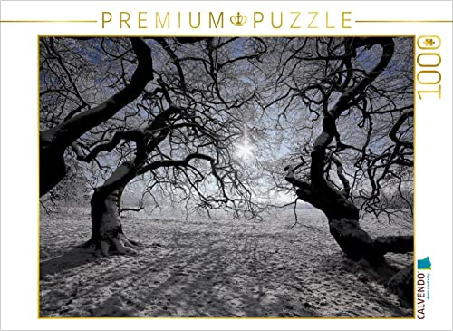 CALVENDO Puzzle nach Süden zur Wintersonne | 1000 Teile Lege-Größe 64 x 48 cm Foto-Puzzle für glückliche Stunden