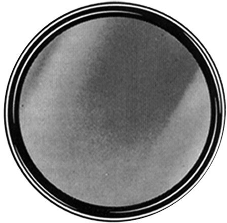 B W Filter S03 F-Pro circular MRC polarising 1977