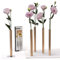 PELEG DESIGN Magnetische Blumenvase – Mini Vasen für Tischdeko | Set mit 5 kleinen Silbervasen aus Aluminium – Vasen Set für Wohn- und Gartendekoration, für echte und künstliche Blumen (Gold)