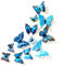 Oblique Unique 3D Schmetterlinge Doppelflügel Effekt Blumen 12er Set Dekoration Wandtattoo (Blau)