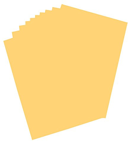 folia 65509 - Plakatkarton, ca. 48 x 68 cm, 10 Bögen, 380 g/qm, einseitig hellbraun gefärbt - ideal zum Basteln oder Erstellen von Plakaten und Anzeigen
