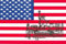 1 Packung mit 50 Servietten 3lg. 33x33cm USA MIT SKYLINE