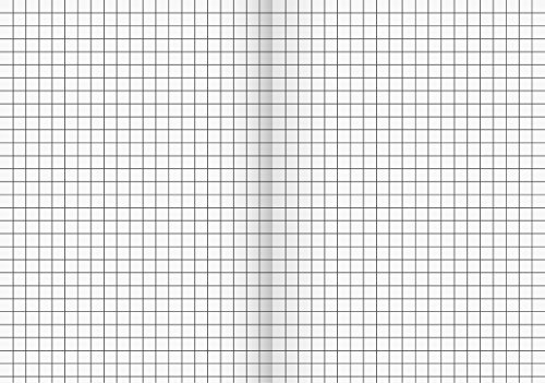 Brunnen 1046942 Schulheft (A6, 64 Blatt, kariert, Lineatur 52)