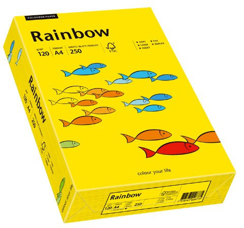 Papyrus 88042392 Drucker-/Kopierpapier farbig, Bastelpapier: Rainbow 120 g/m², A4 250 Blatt Buntpapier, matt, intensivgelb