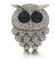 Clair Cristal De Swarovski, 'Chouettes' Broche en forme de, rhodié