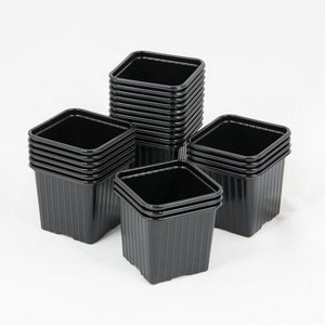 Godet pour semis 8 x 8 x 7 cm NOIR (x 1000)