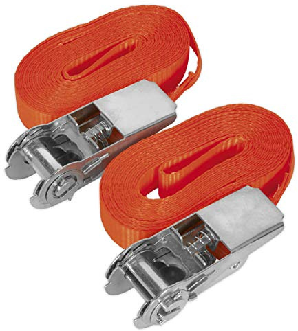 Sealey Self-Securing Ratchet Straps 25mm x 4.5m 800kg Breaking Strength - Pair - TD08045E