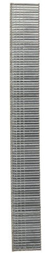 BOSTITCH Chiodi Brad 18GA, 5/8, confezione da 3000 (BT1300B), marrone