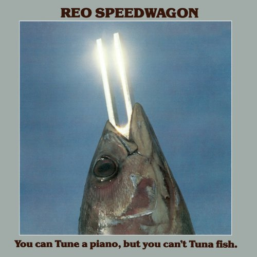 You Can Tune a Piano But You Can't Tune a Fish