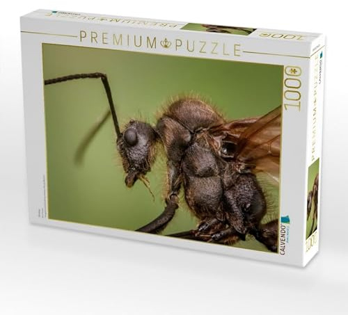 CALVENDO Puzzle Ameise | 1000 Teile Lege-Größe 64 x 48 cm Foto-Puzzle für glückliche Stunden