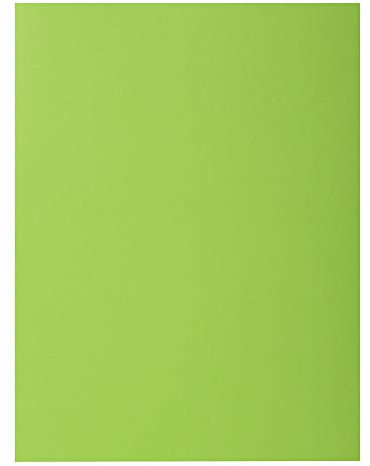 EXACOMPTA Paquet de 100 chemises Rock's en carte 210 g, coloris vert clair