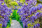 Grow Your Secret Garden