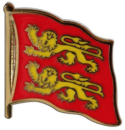 Digni Pin's (épinglette) Drapeau France Basse Normandie - 2 x 2 cm