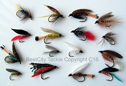 BestCity Fly Fishing FLIES WET FLY 16 Selection Classic TROUT PACK #5