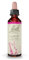 FLEURS DE BACH ORIGINAL - Larch No 19 - Pour plus de sûreté - Aide à être plus sûr de ses capacités - Élixir floral naturel pour le bien-être émotionnel - Compte-Gouttes 20ml - Vegan