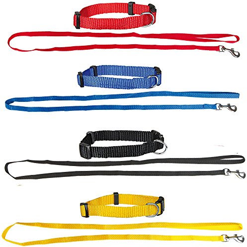 Schecker Set aus: 4 Welpenhalsbänder + 4 Welpenleinen im Set 4 Farben ideal für Züchter oder Sparpaket Welpenhalsband mit Leine als Set