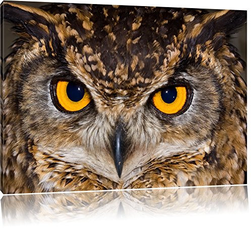 Pixxprint Eule mit gelben Augen, Größe: 60x40cm, Leinwandbild, fertig gespannt, Wandbild, Dekoration, Kunstdruck, kein Poster
