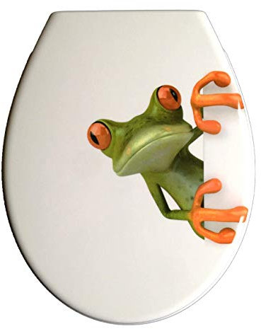 Duroplast WC Sitz Klobrille Modell Frosch mit Absenkautomatik, zur Reinigung abnehmbar, 59850