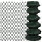 vidaXL Grillage 0,8x15 m Clôture Bordure Portail Barrière de Jardin Balcon