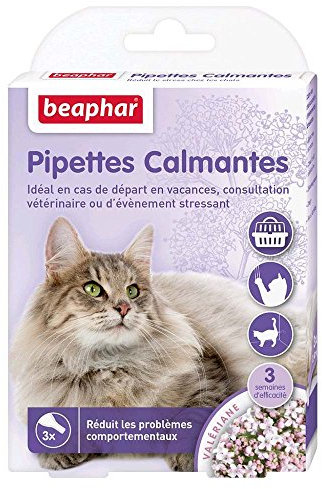 BEAPHAR – NO STRESS – Pipettes calmantes à la Valériane pour chat – Réduit le stress et les problèmes comportementaux sans dépendance ni somnolence – Prêt à l'emploi – 3 semaines d'action – 3 pipettes