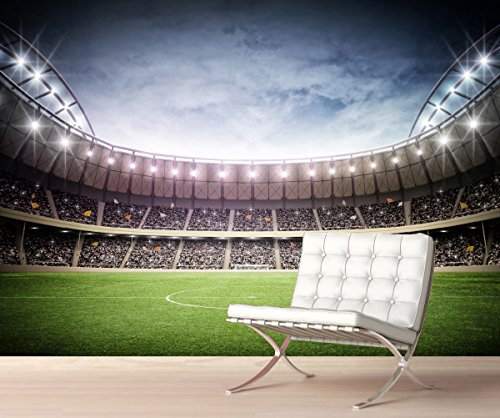 StickersWall Giant Football Stadium Children Kids Wall Mural Photo Wallpaper Picture Self Adhesive 1063 (342cm(W) x 242cm(H))