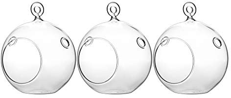 3 x Terrario WGV de cristal para colgar de 11,5 cm